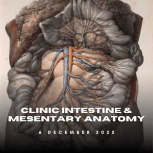 Session 1 (10:30–12:30) – Clinical Intestine & Mesentery Anatomy with Dissection