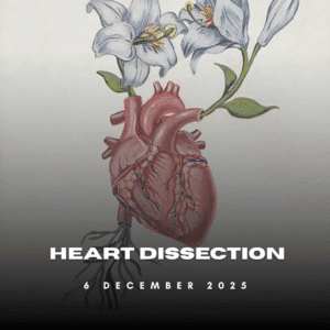 Session 3 (16:30–18:30) – Heart Dissection
