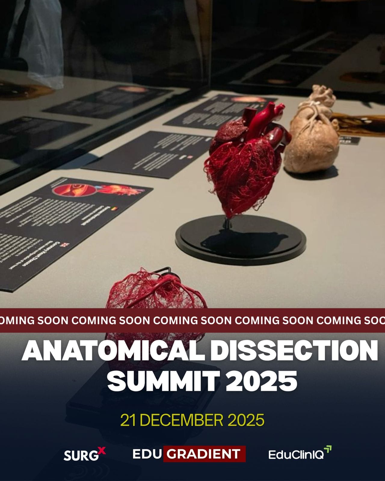 Anatomical Dissection Summit 2025 | 21 December