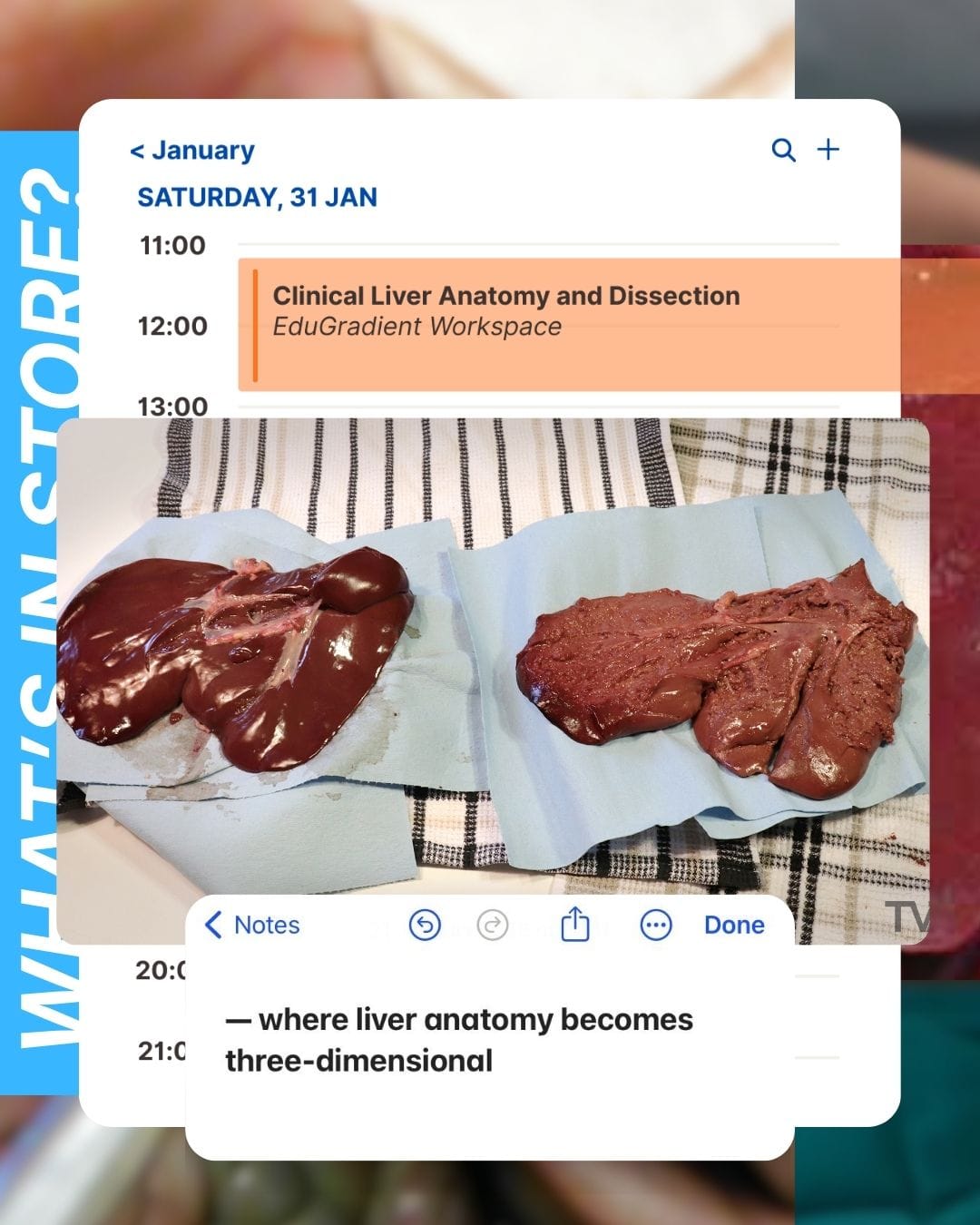 Weekend Workshops: Hands-On Training | 31st January - Image 2