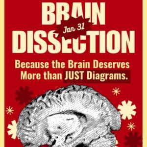 BRAIN DISSECTION WORKSHOP| 31st January