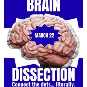 BRAIN DISSECTION WORKSHOP| 22nd March
