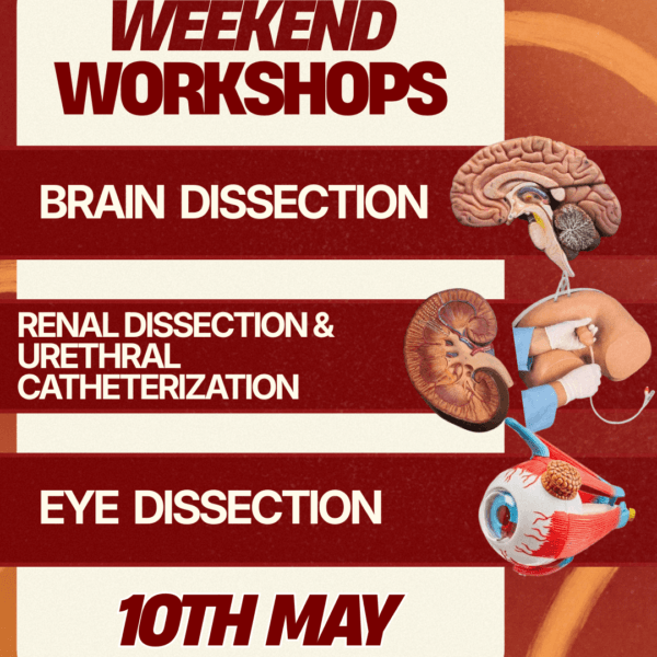 Weekend Workshops – May 10, 2026